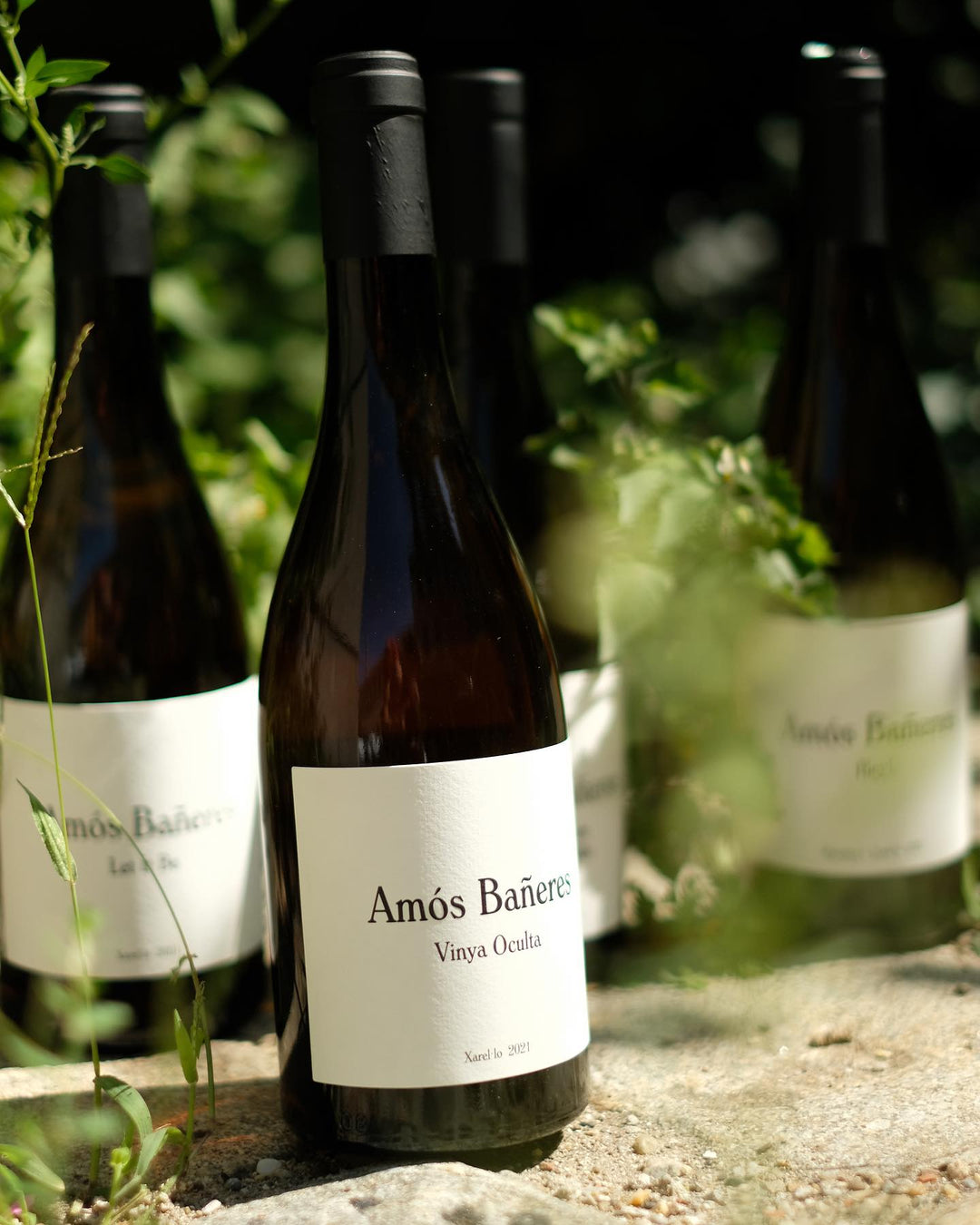 Amós Bañeres - Weine aus Spanien