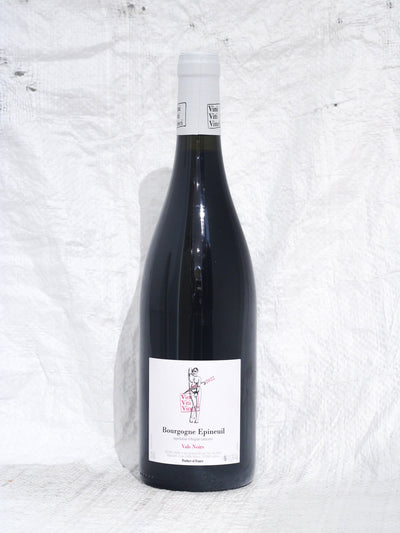 Bourgogne Epineuil Vals Noirs 2022 0,75L Wein von Vini Viti Vinci