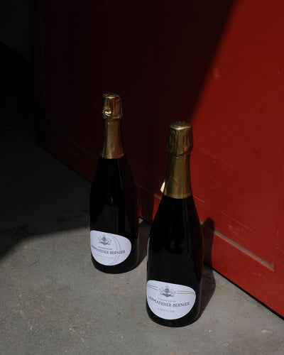 Endlich wieder da: Champagner von Larmandier-Bernier