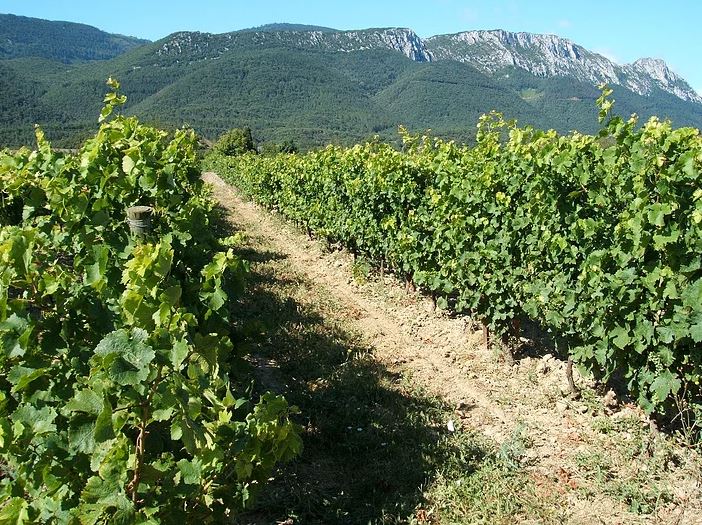 Domaine de Majas Agnès und Alain Carrere