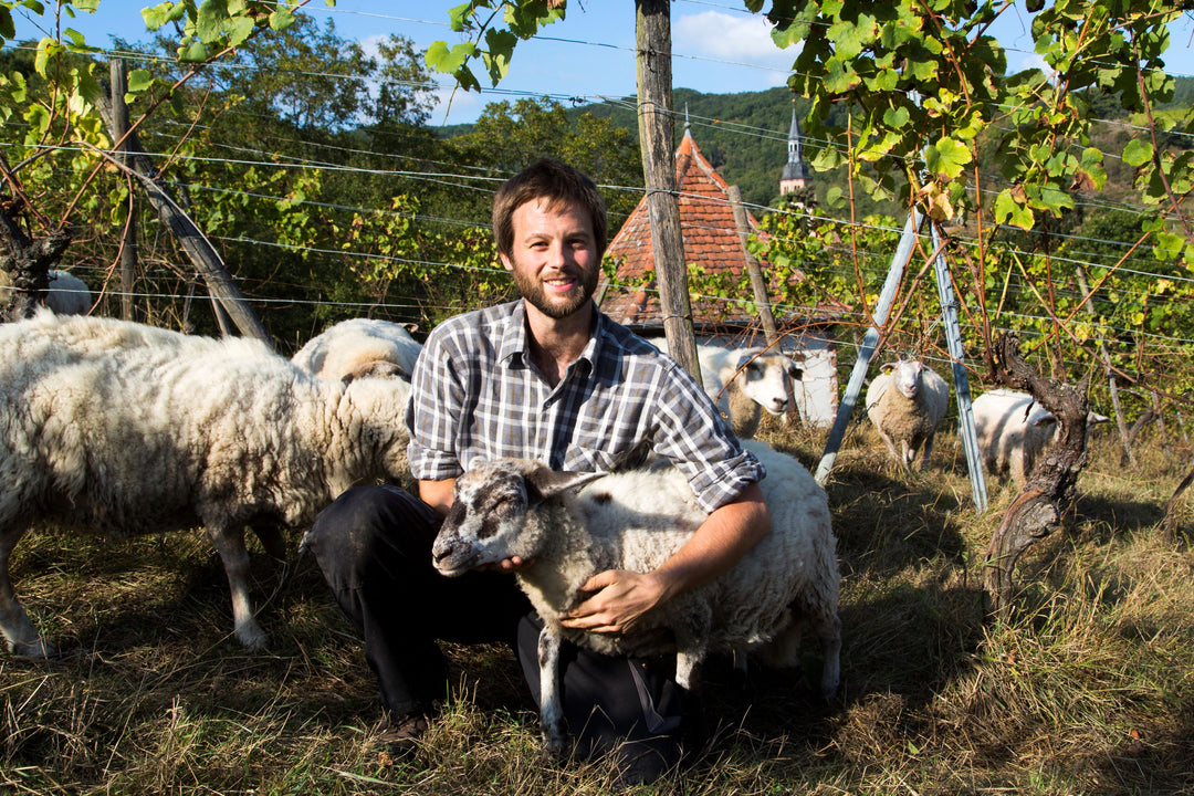 Andre Durrmann - Winzer aus dem Elsass
