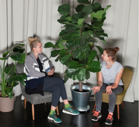 Susi & Steffi Renner - rennersistas