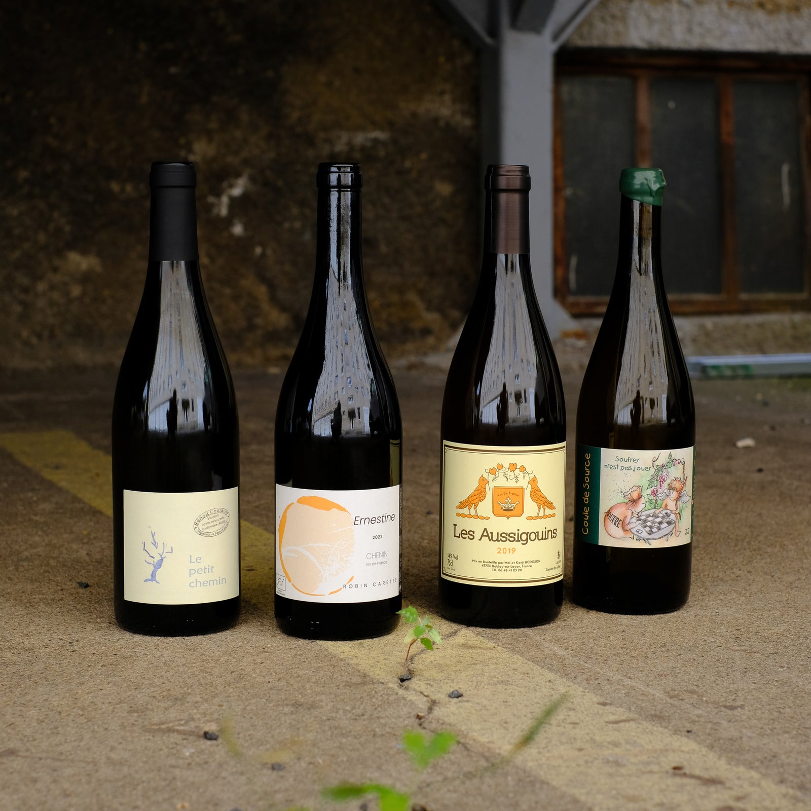 Chenin Blanc Weine aus dem Anjou Noir