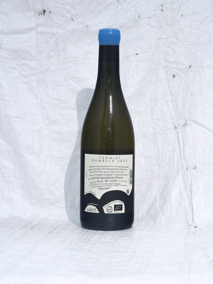 Furmint Bambule 2023 0,75L Bio Wein von Judith Beck