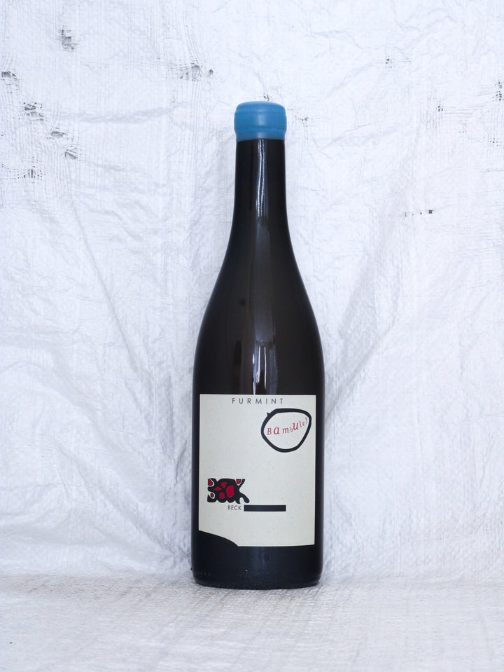 Furmint Bambule 2024 0,75L Bio Wein von Judith Beck
