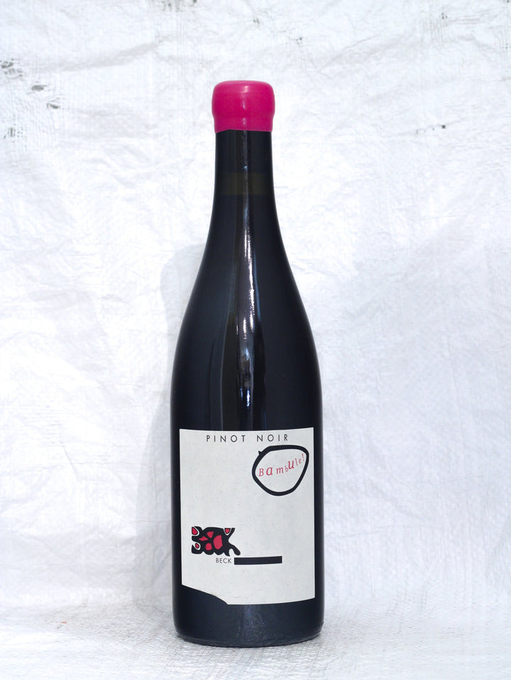 Pinot Noir Bambule 2021 0,75L Bio Wein von Judith Beck