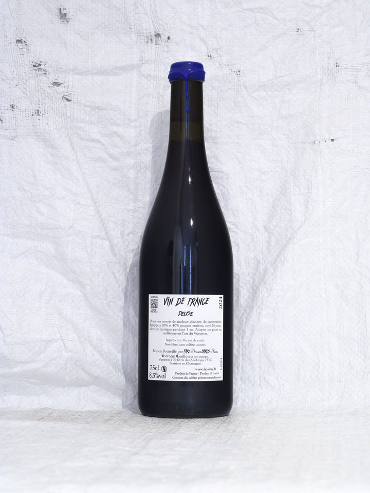 Cosmos 2024 0,75L Wein von Corentin Houillon