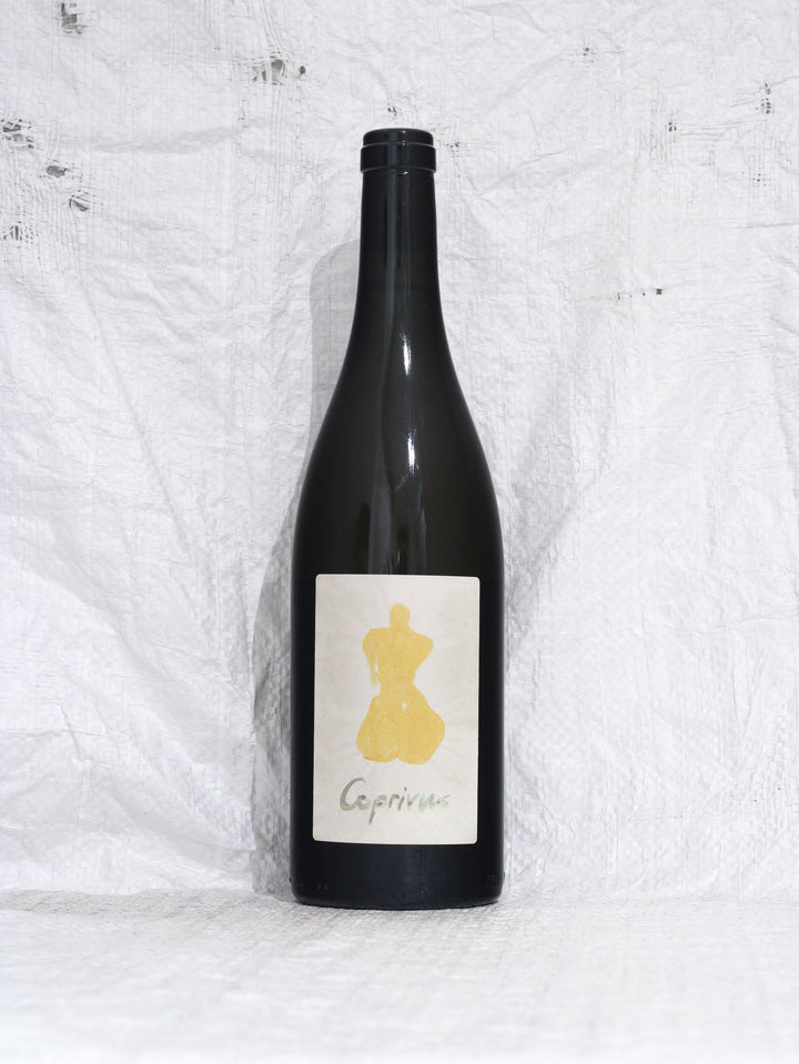 Coprivus Nv 0,75L Wein von Elias Muster