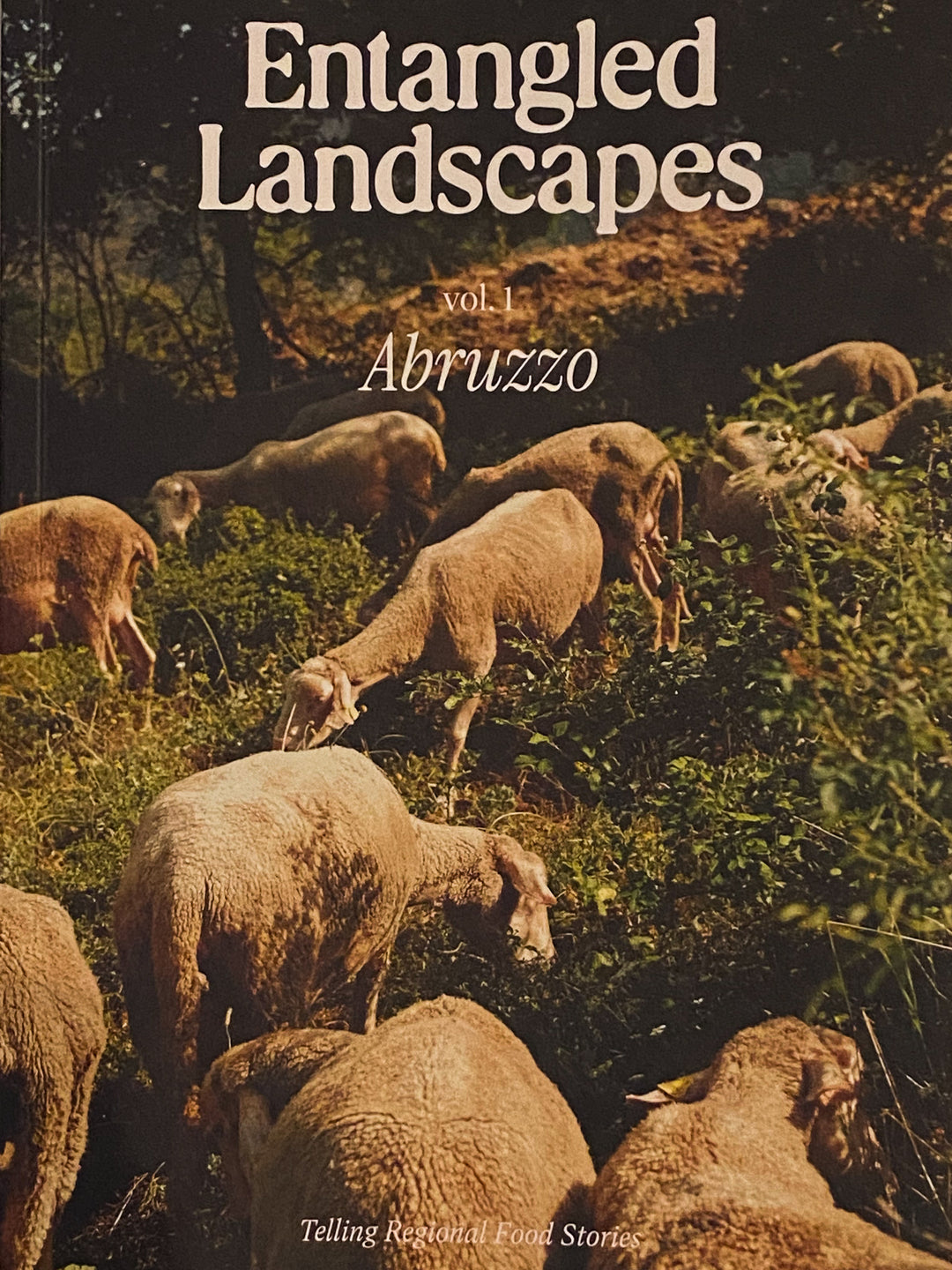 Entangled Landscapes vol. 1 Abruzzo
