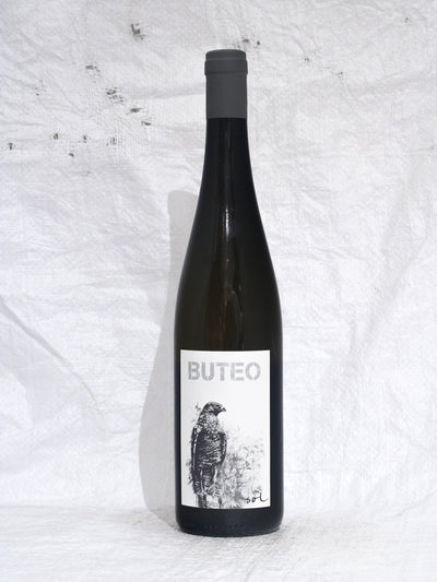 Buteo 2021 0,75L Bio Wein von Michael Gindl