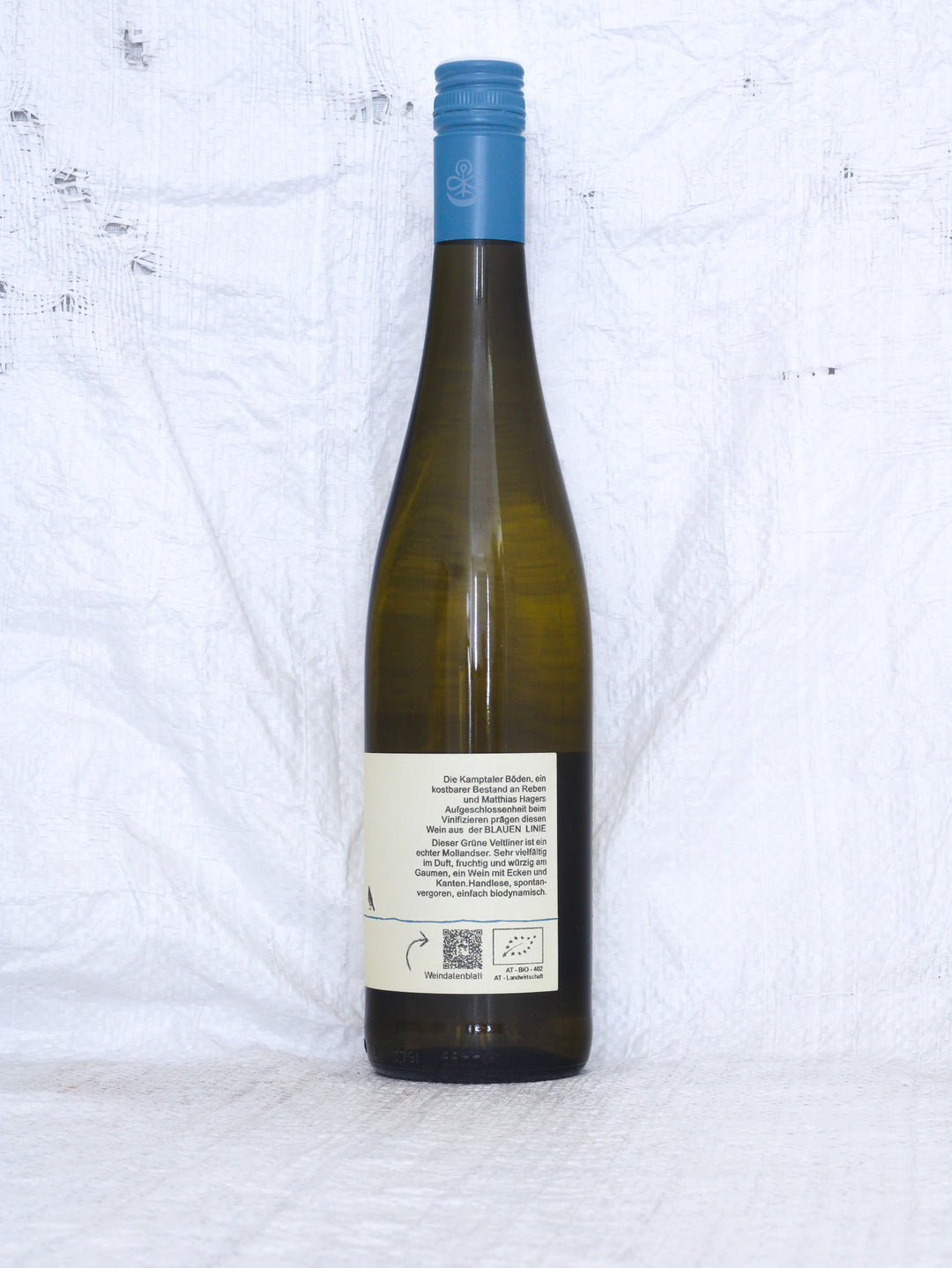 Grüner Veltliner Kamptal DAC 2025 0,75L Bio