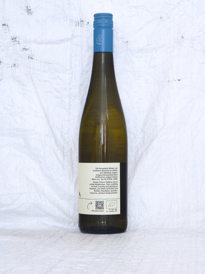 Grüner Veltliner Kamptal DAC 2025 0,75L Bio