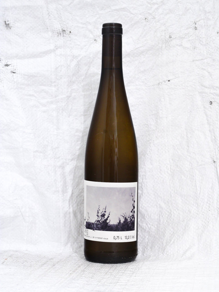 Riesling Lai 2023 0,75L Wein von Weingut Hainbusch