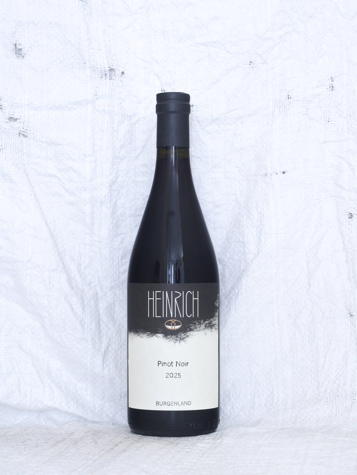 Weingut Heinrich Pinot Noir 2025 Rotwein aus Österreich