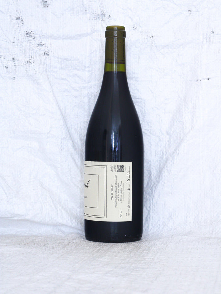Hervé Souhaut Syrah 2025 Rotwein aus Frankreich