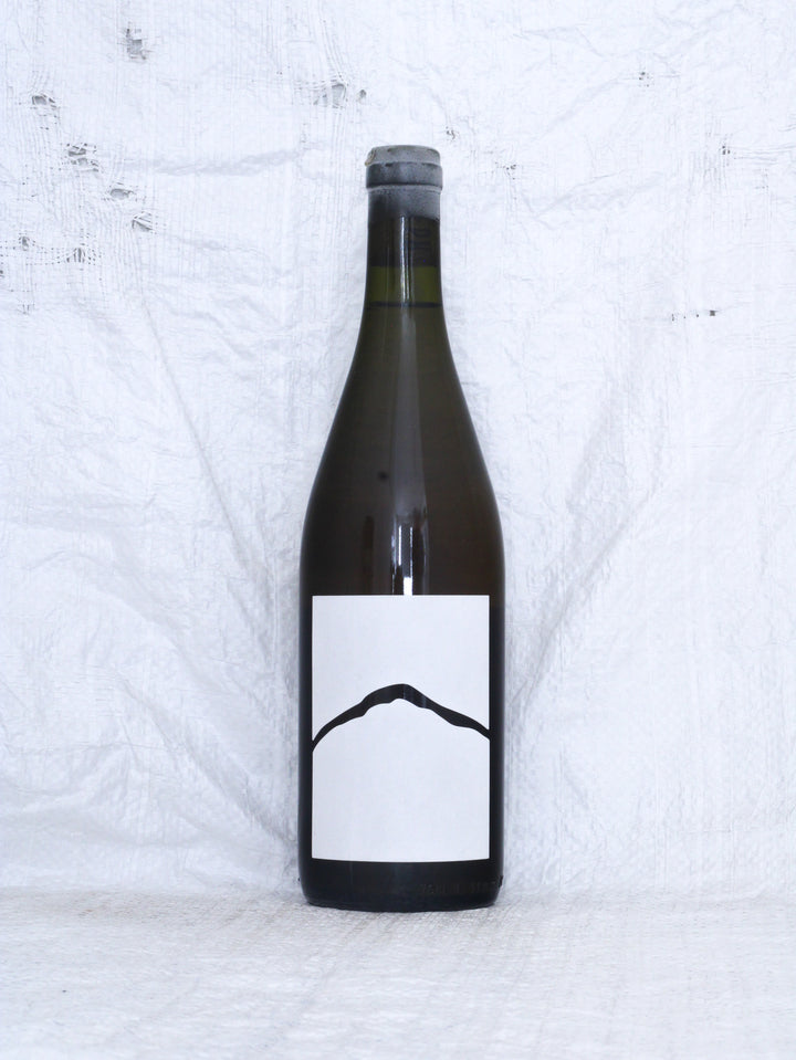 Joiseph
Muskat Ottonel 2022 Bio Orange Wein aus Österreich