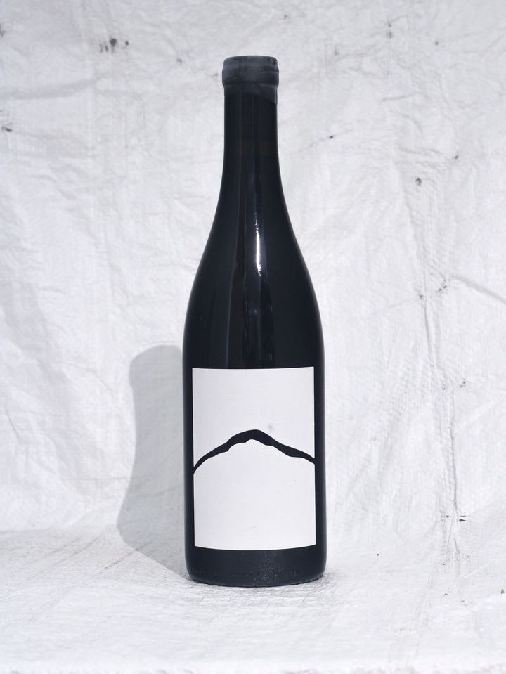 Schieferberg Blaufränkisch 2020 0,75L Wein von Joiseph