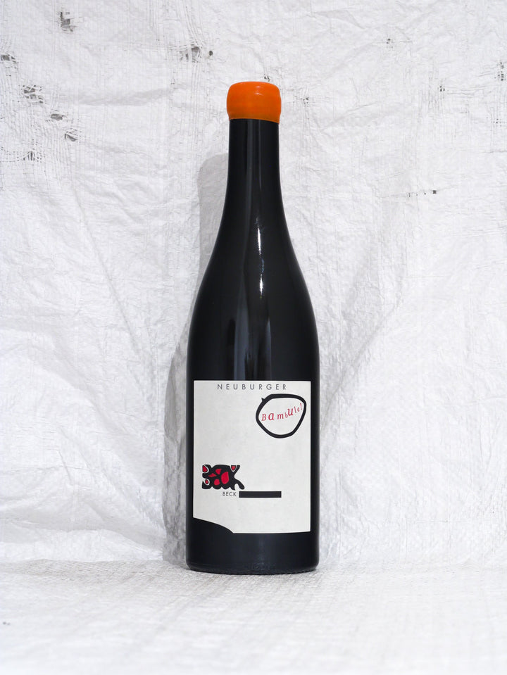 Neuburger Bambule 2022 0,75L Bio Wein von Judith Beck