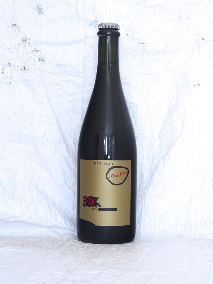 Pet Nat P 2024 0,75L