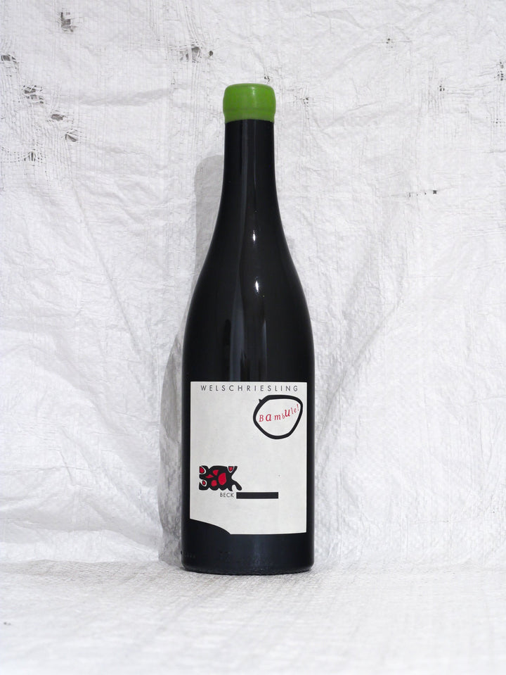 Welschriesling Bambule 2022 0,75L Bio Wein von Judith Beck