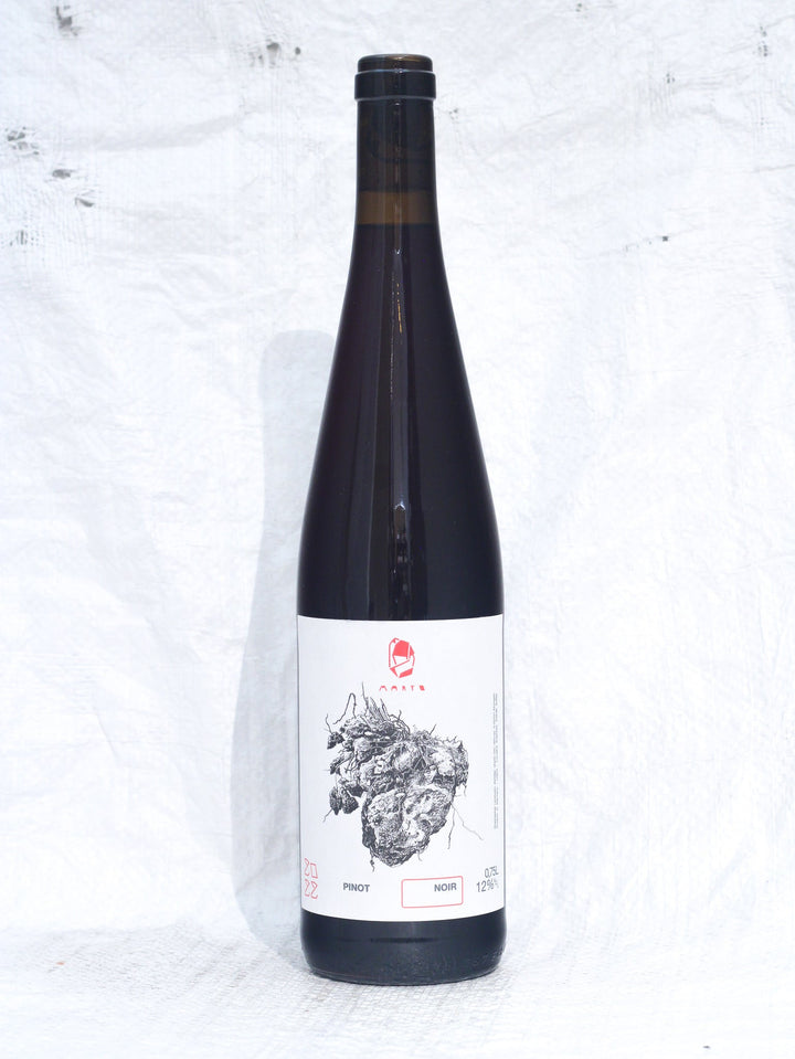 Pinot Noir 2022 0,75L Wein von Marto Wines