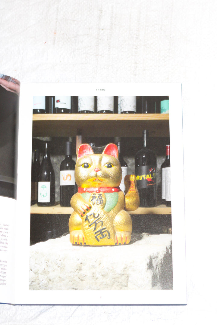 Mochi Izakaya Kochbuch