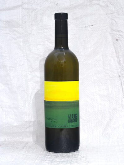 Sauvignon Vom Opok 2021 0,75L Bio Wein von Sepp Muster