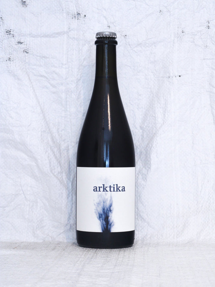 Arktika 2024 0,75L Bio Wein von Martin Andreas & Lydia Nittnaus