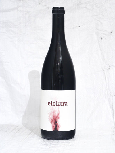 Blaufränkisch Elektra 2022 0,75L Bio Wein von Martin Andreas & Lydia Nittnaus