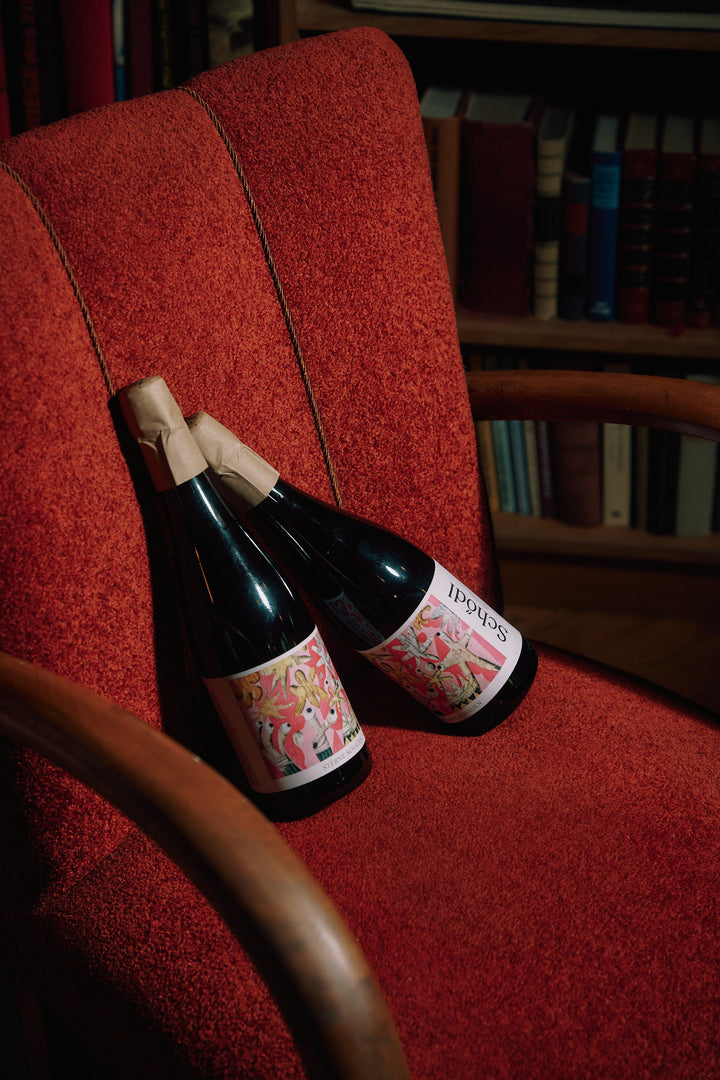 Schödl FamilySPÄTES LICHT Blanc de Noir Brut Nature 2023 Sekt aus Österreich
