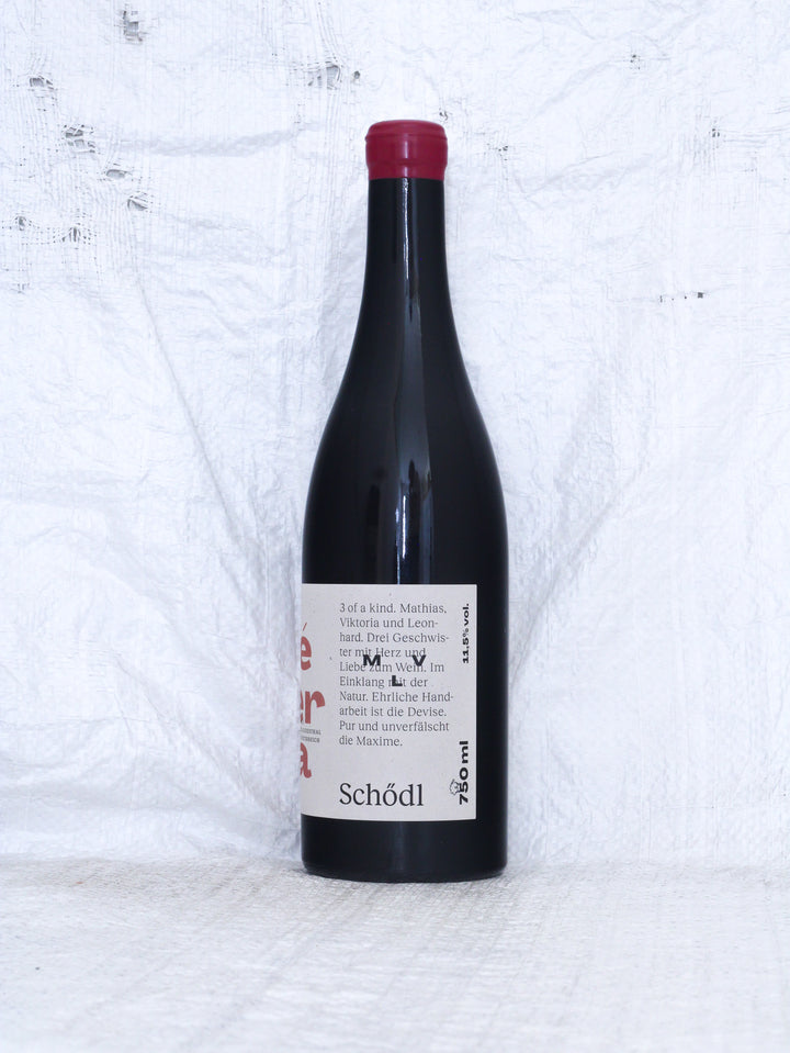 Schödl Family
Rosé Supernova 2025 Bio Wein aus dem Weinviertel