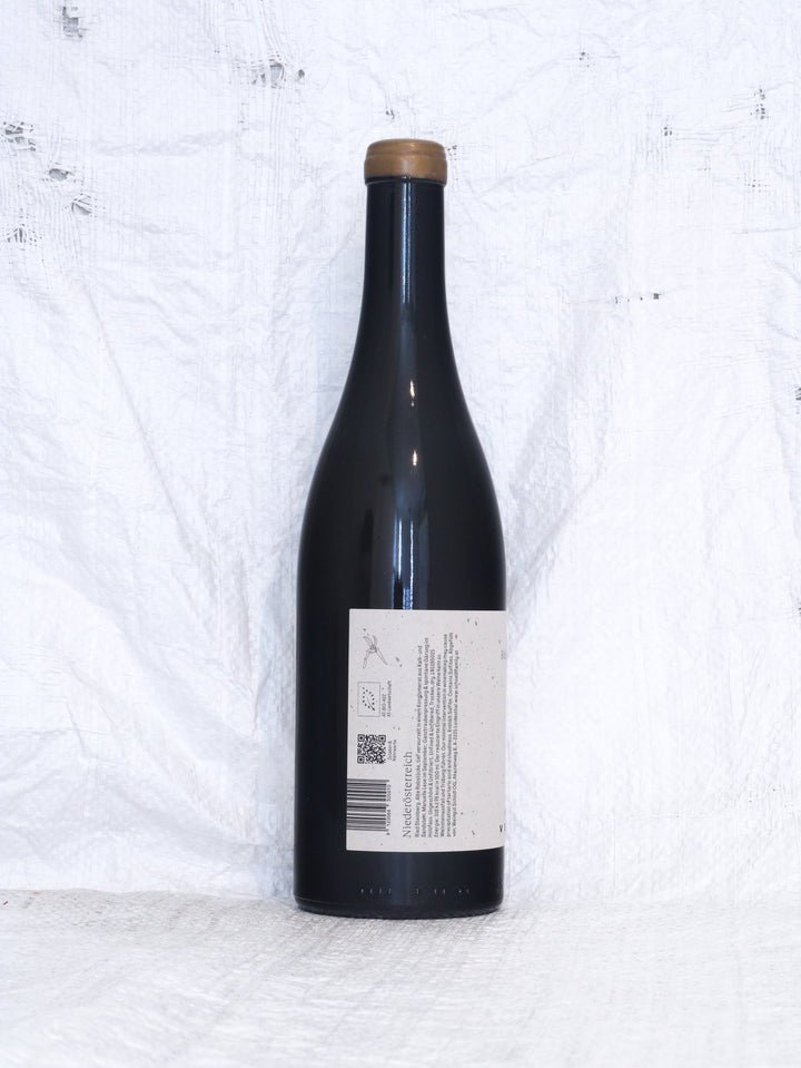 Steinberg 2023 0,75L Bio Wein von Schödl Family