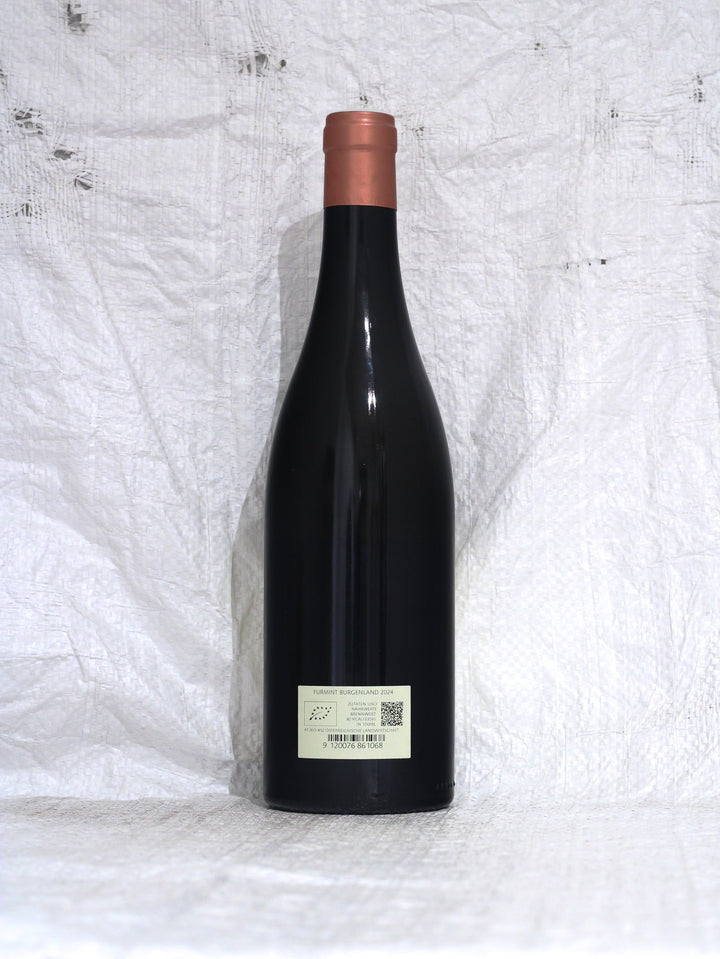 Furmint 2024 0,75L Bio Wein von Hannes Schuster
