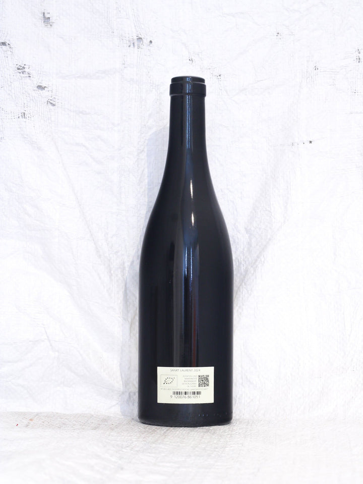 St. Laurent 2024 0,75L Bio Wein von Hannes Schuster