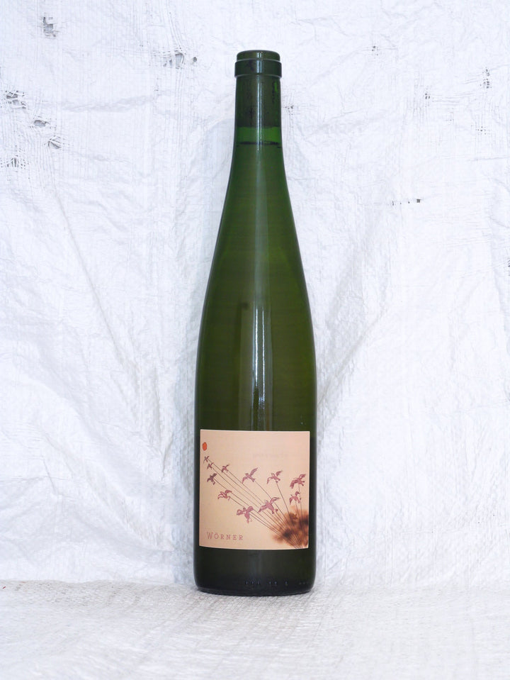 Esperanto 2023 0,75L Wein von Valentin Sylvaner Wörner 