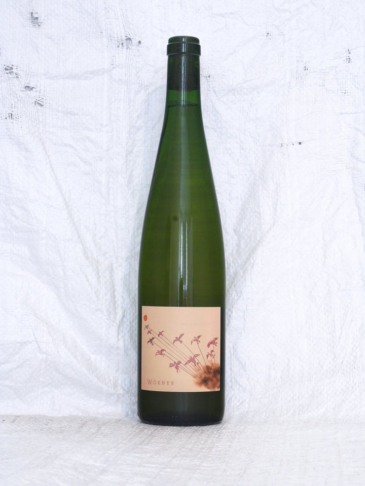 Riesling 2023 0,75L Wein von Valentin Sylvaner Wörner 