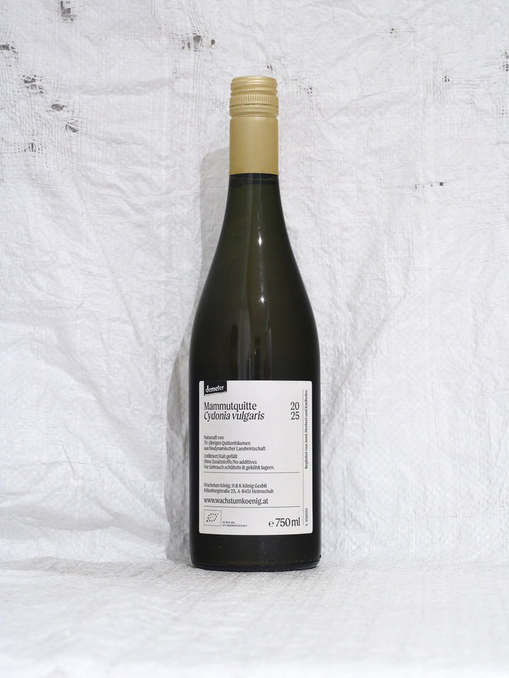 Mammutquitte 2025 0,75L Bio Wein von Wachstum König