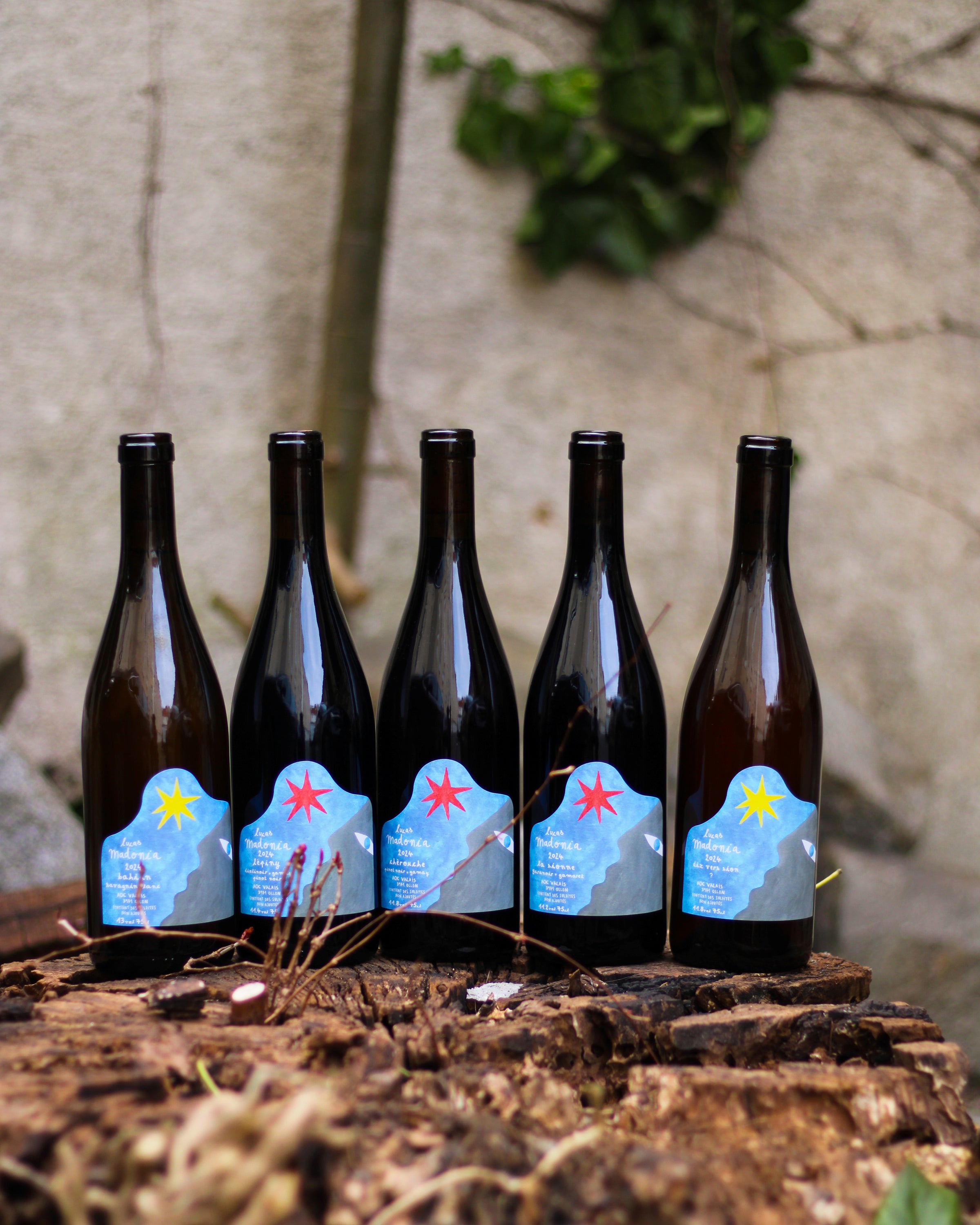 Weine von Lucas Madonia aus dem Wallis - neuer Jahrgang 2024