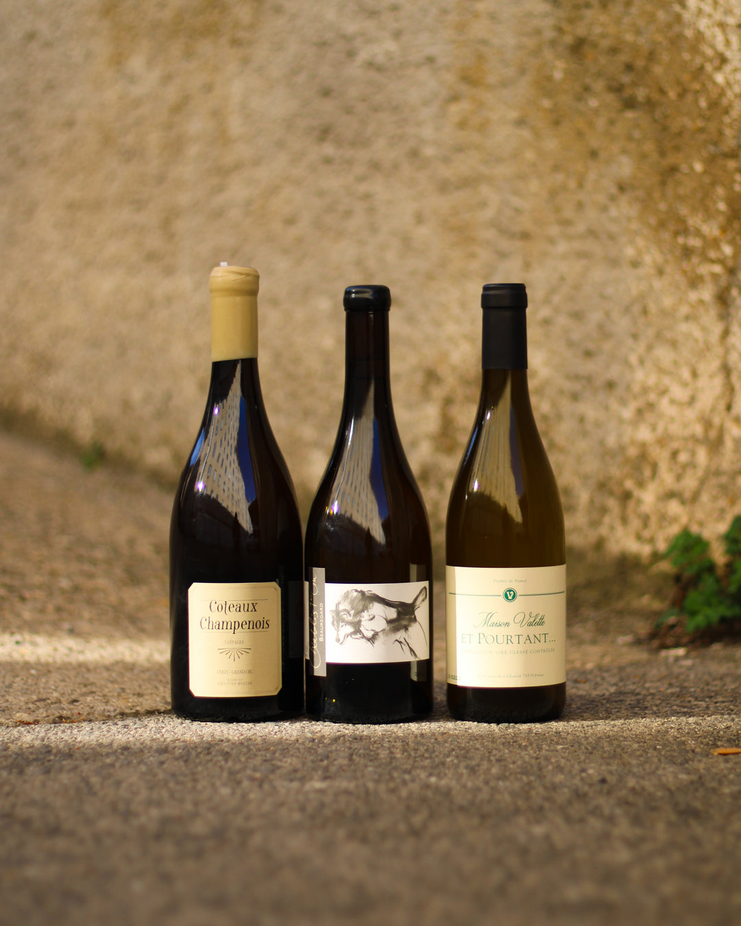 Weinset mit Beauregard 2022 von Thomas Pico, Coteaux Champenoise 2021 von Mouzon-Leroux und Et Pourtant 18.20.22.23 von Valette