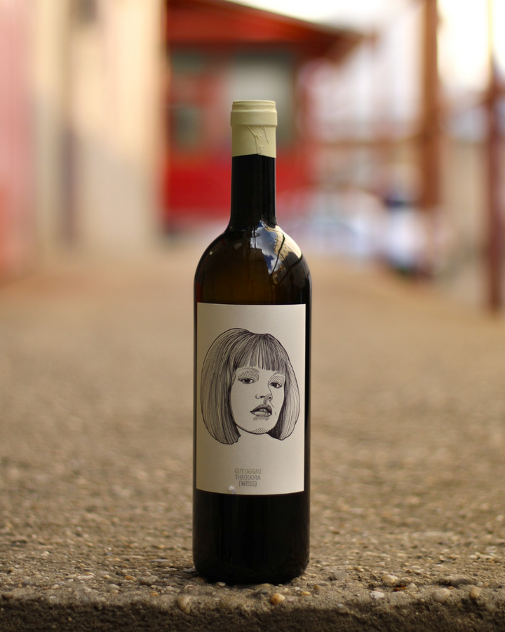 Weinskandal Gut Oggau Theodora 2024 Orange-Wein