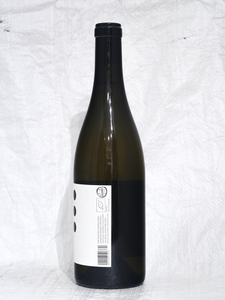 Furmint Bodi 2021 0,75L Bio Wein von Franz Weninger