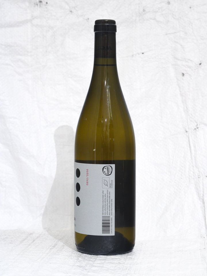 Furmint Stein 2022 0,75L Bio Wein von Franz Weninger