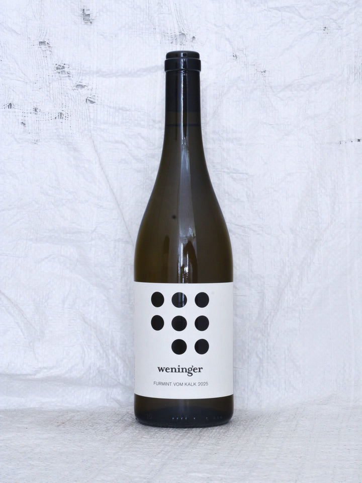 Furmint vom Kalk 2025 0,75L Bio