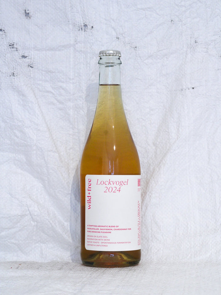 Lockvogel 2024 0,75L Bio Wein von Michael Wenzel