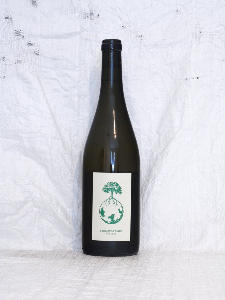 Sauvignon Blanc Vom Opok 2023 0,75L Bio Wein von Werlitsch