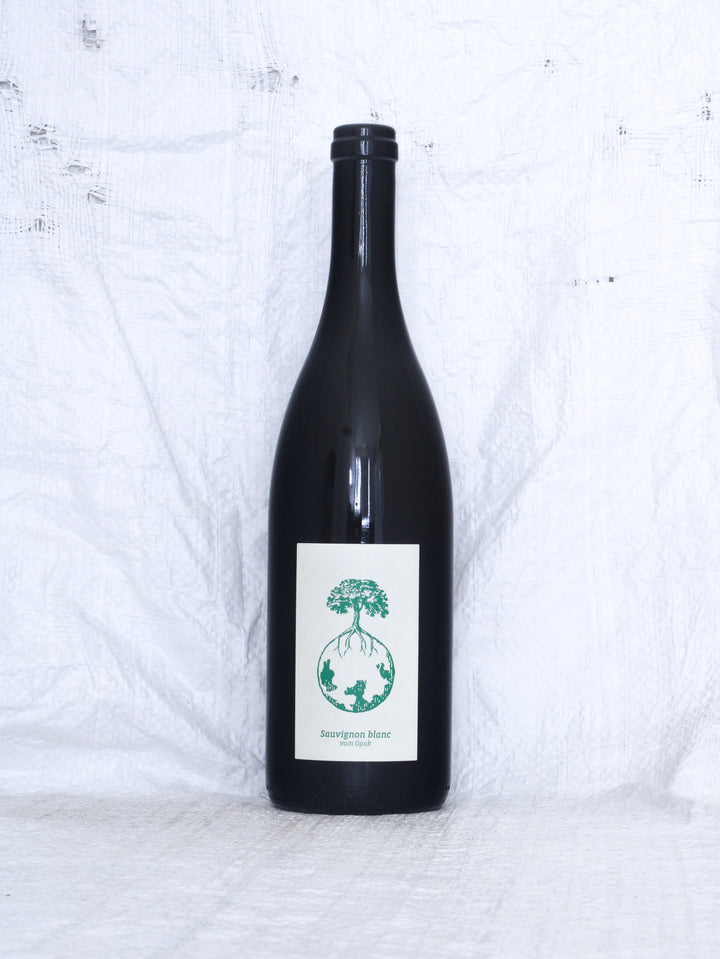 Werlitsch
Sauvignon Blanc vom Opok 2024 Biowein aus Österreich