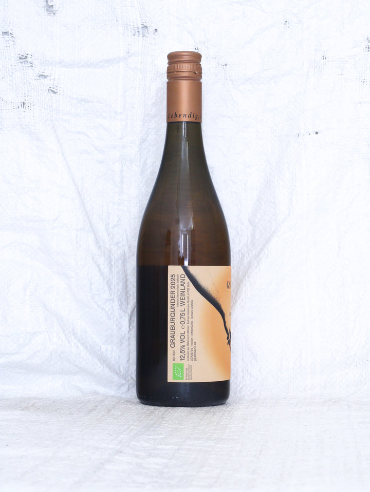 Rückseite von Andreas Gsellmann Grauburgunder 2025 Bio Wein aus Österreich mit Angaben zu Ausbau und Herkunft