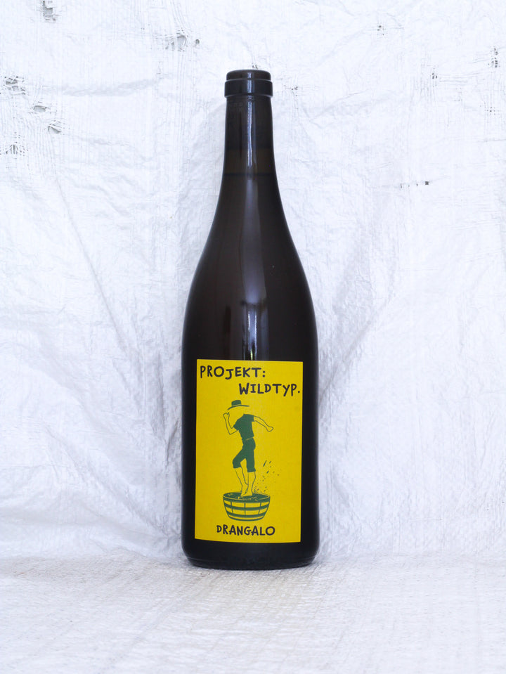 Drangalo 2024 von Projekt Wildtyp – Grüner Veltliner Naturwein ohne zugesetzten Schwefel.