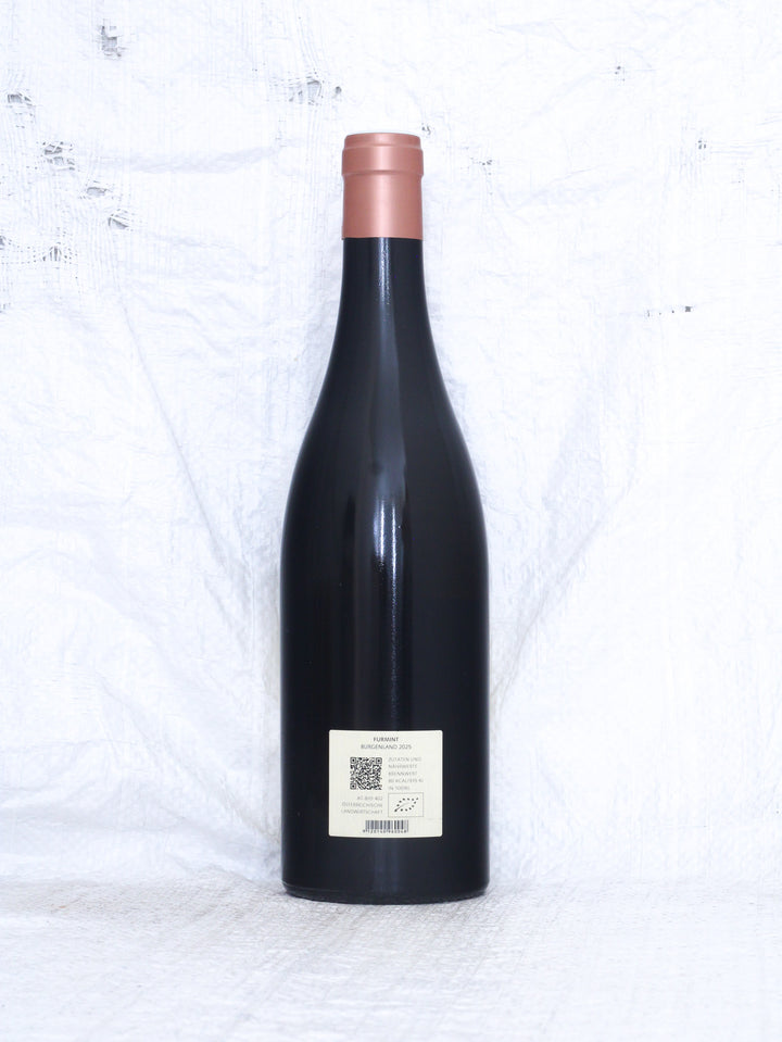 Furmint 2025 von Hannes Schuster – Rücketikett der Weinflasche