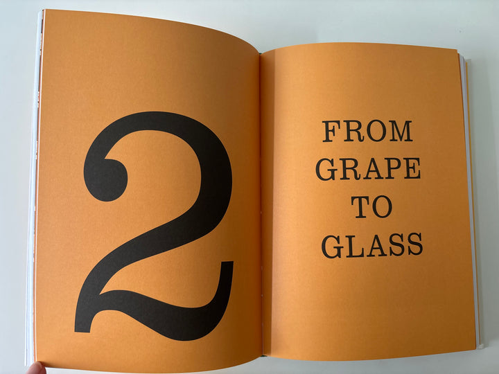 How to Drink Natural Wine by Rachel Signer - From grape to glass